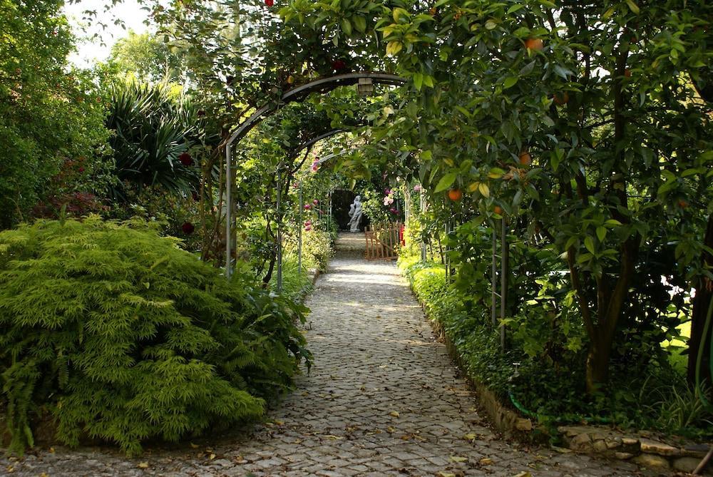 Quinta De Sao Lourenco Anadia Buitenkant foto