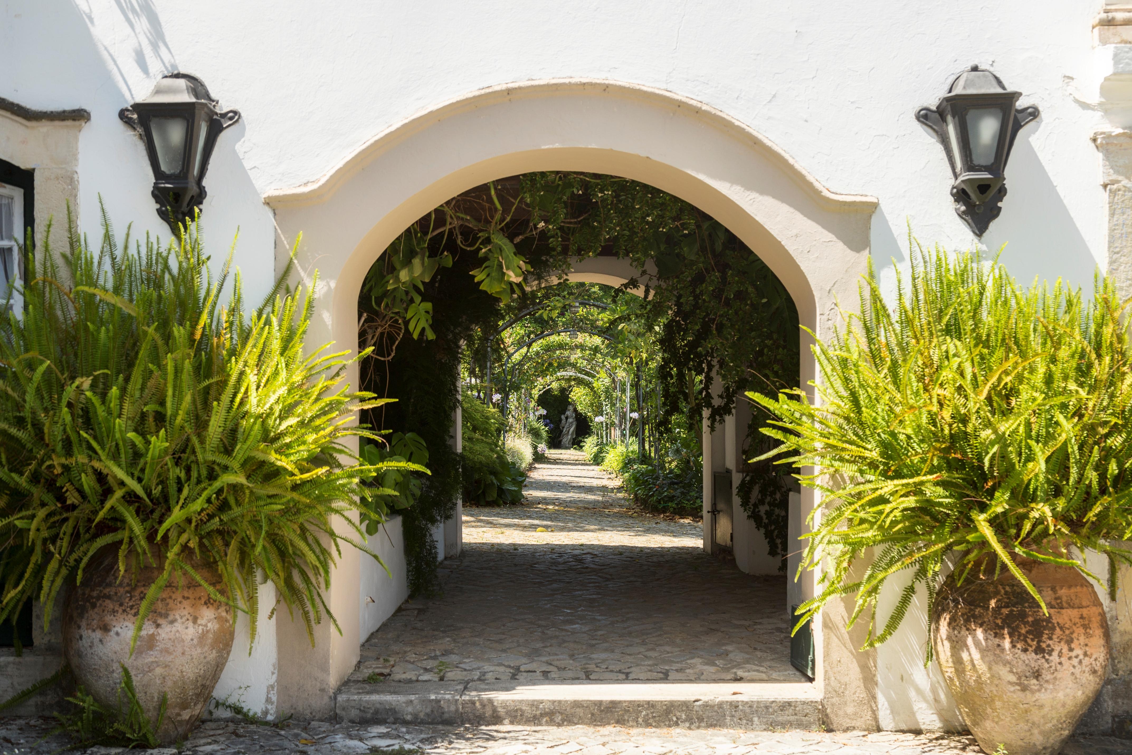 Quinta De Sao Lourenco Anadia Buitenkant foto