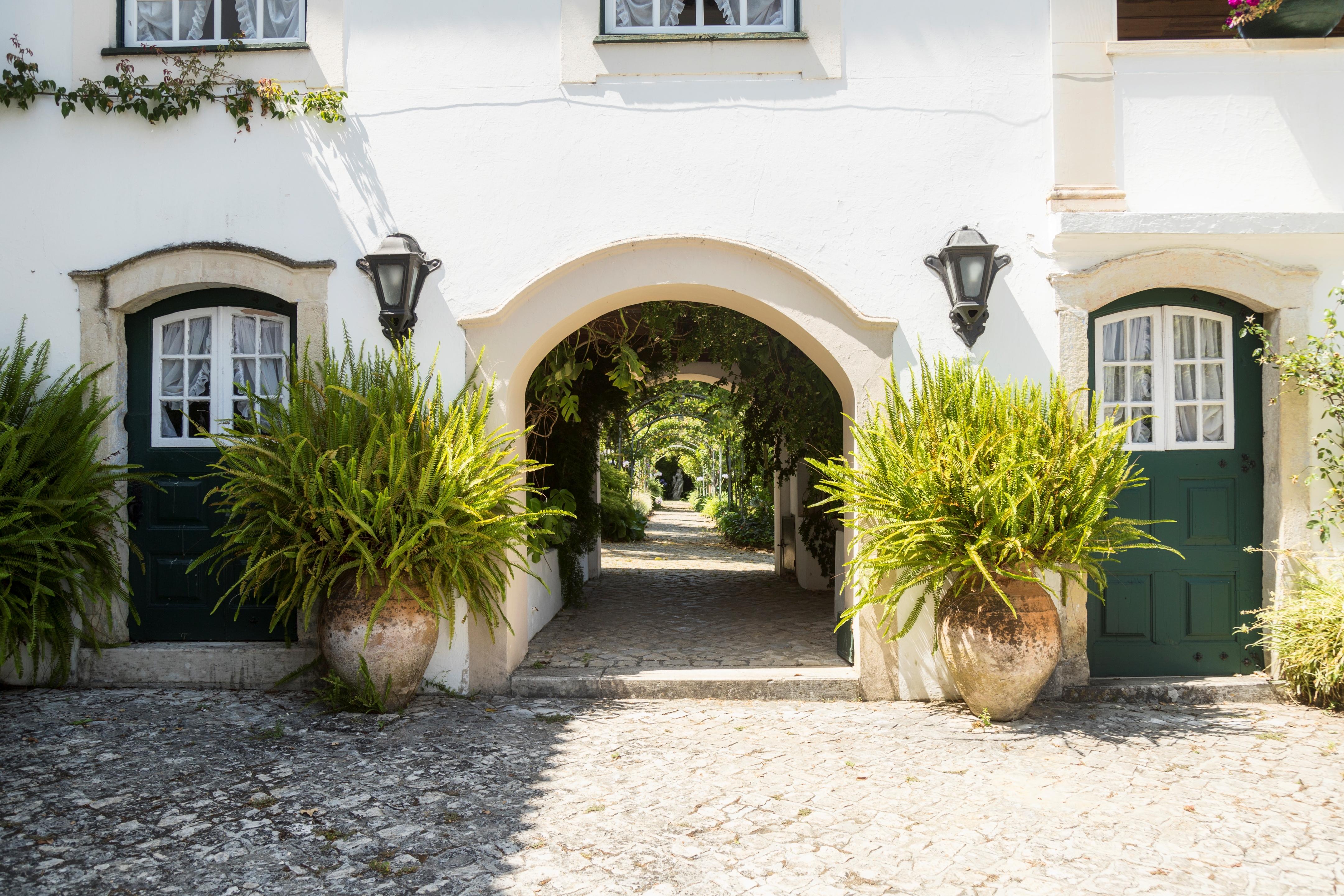 Quinta De Sao Lourenco Anadia Buitenkant foto
